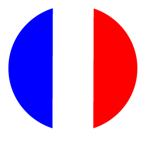 Logo representing a French Flag